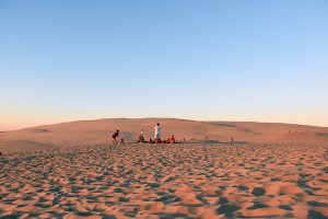 Camping Biscarrosse La Rive : Dune