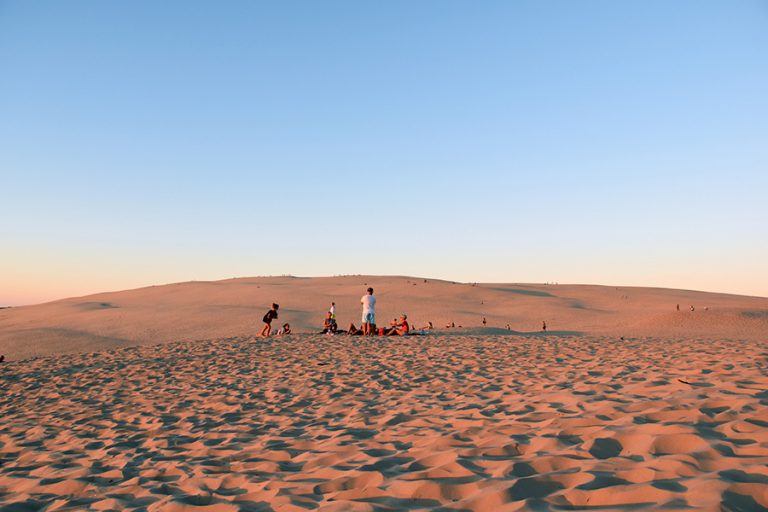Camping Biscarrosse La Rive : Dune