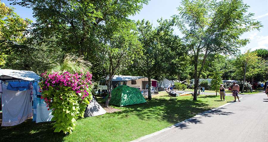 Campingplatz La Rive in Biscarrosse: Stellplätze Lr 1