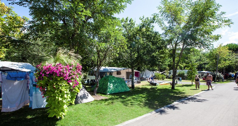 Campingplatz La Rive in Biscarrosse: Stellplätze Lr 1
