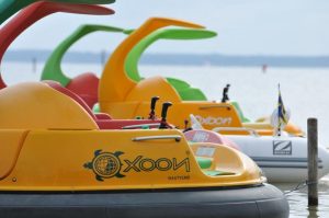 Camping Biscarrosse La Rive : Oxoon