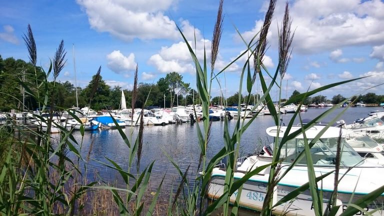 Camping La Rive : Petit Port Sur Le Lac De Sanguinet